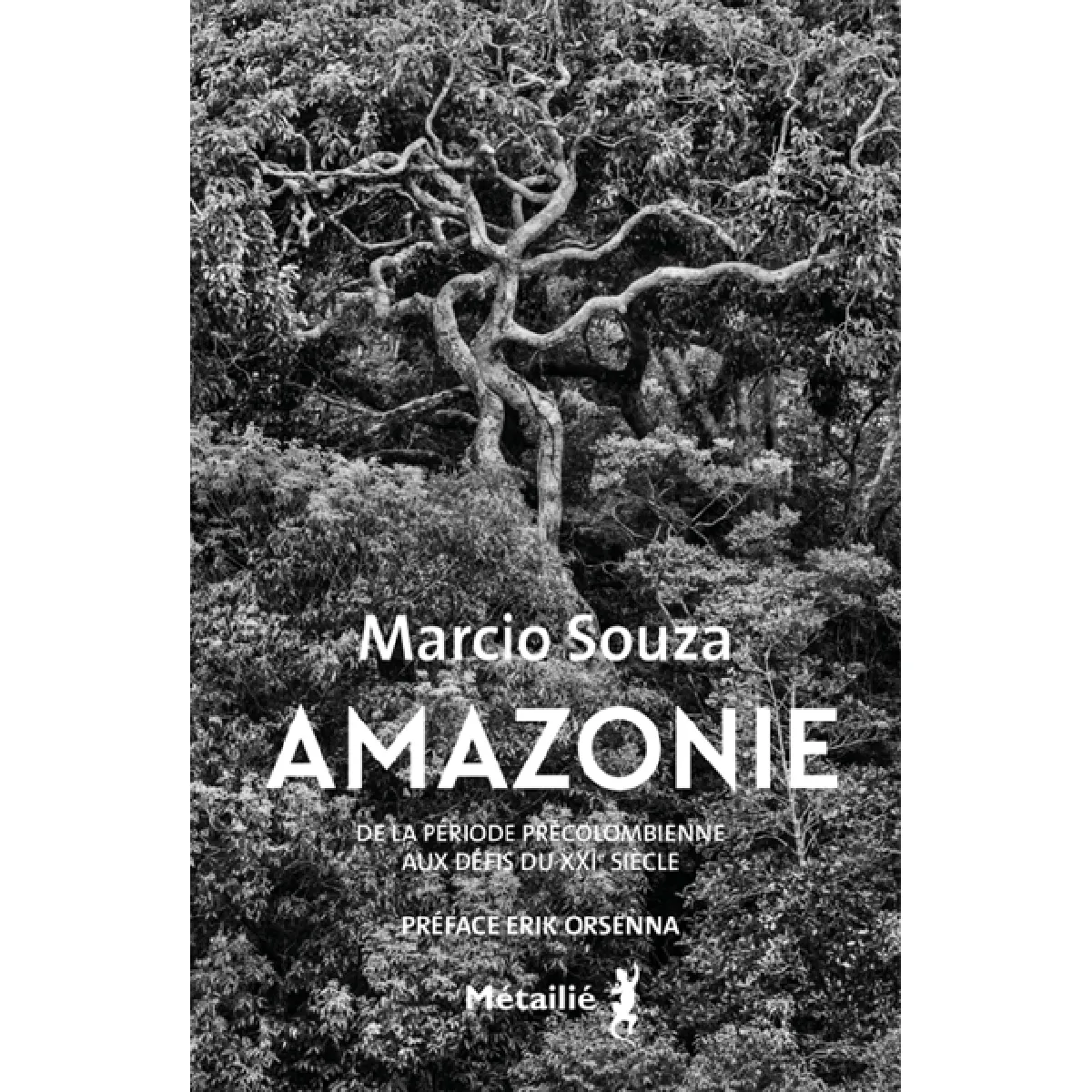 Amazonie : histoire de la période précolombienne aux défis du XXIe siècle · Occasion