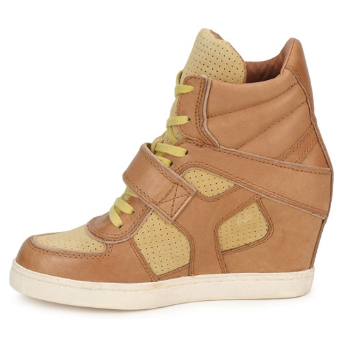 Ash - COCA - Marron / Jaune