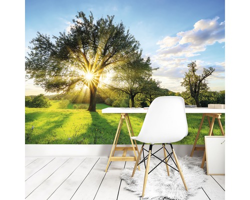Vliesbehang 13015V4 Boom en Zon 2-delige set 254 x 184 cm