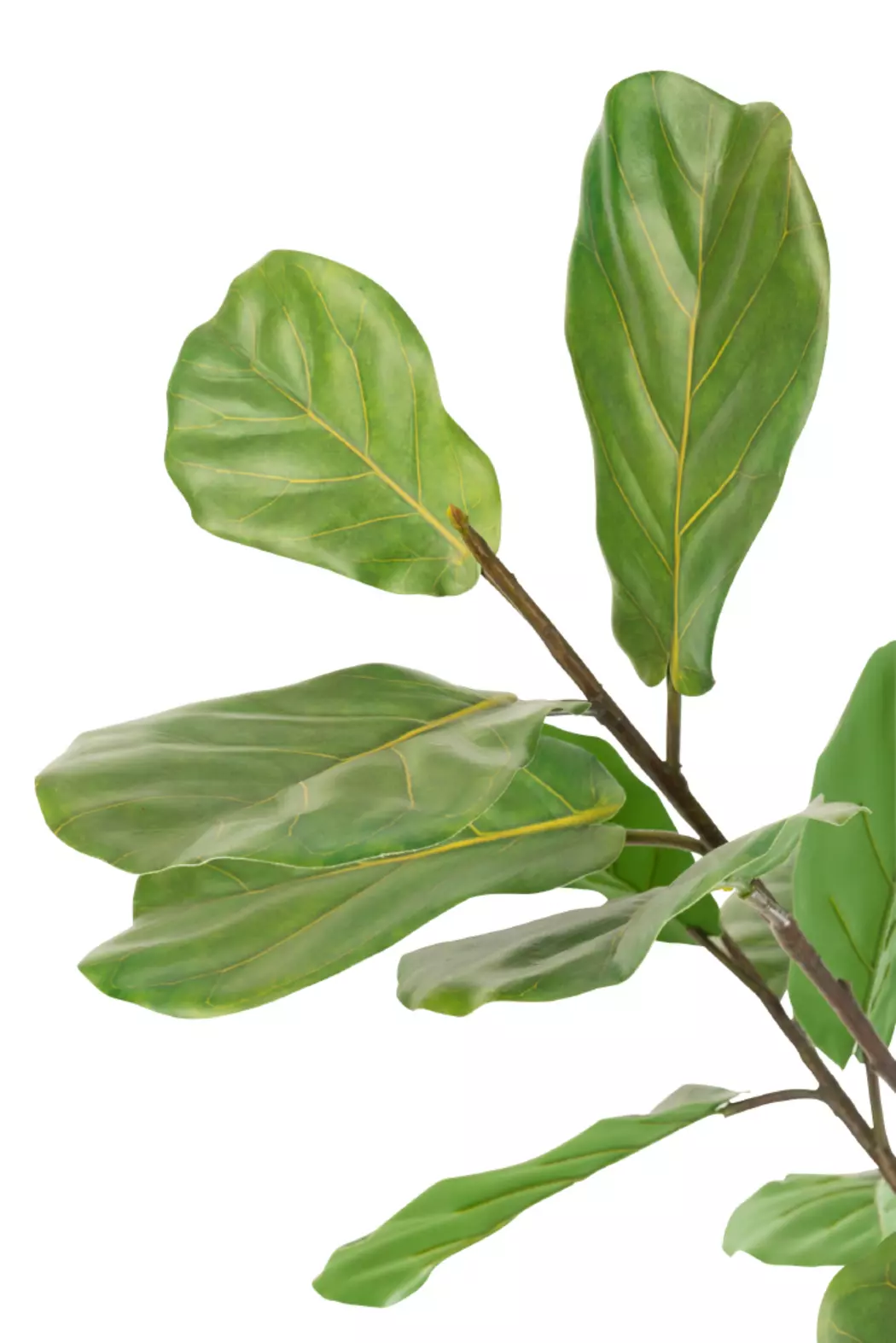 Kunstpflanze Feigenbaum 175 cm