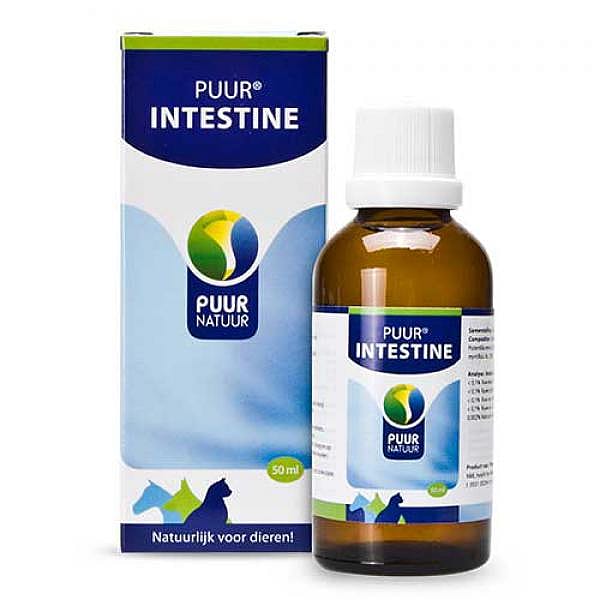 Puur Intestine (= Darm) 50 ml