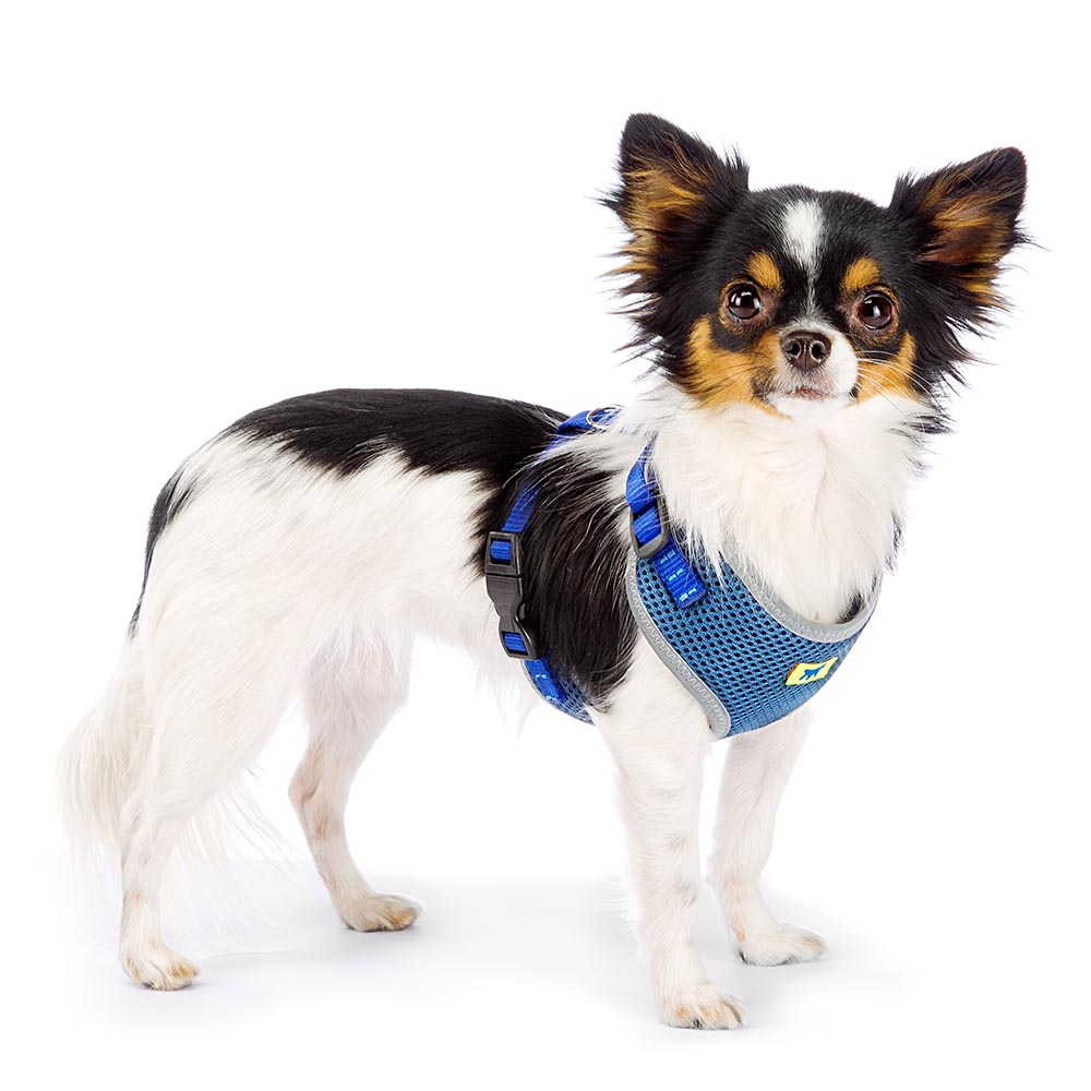 Harnais pour chiens nikita xs, respirant, rembourré et ajustable