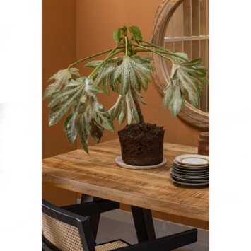 WOOOD Tablo eettafel mangohout naturel met U-poot 180x90 cm