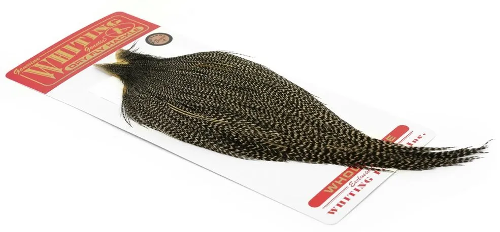 Whiting Bronze Cape