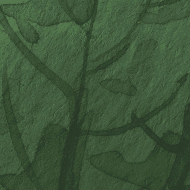 Komar Fototapete »Digitaldruck Vlies -  Botanic Harmony - Grösse 500 x 250 cm« bedruckt glatt Wohnzimmer, Schlafzimmer