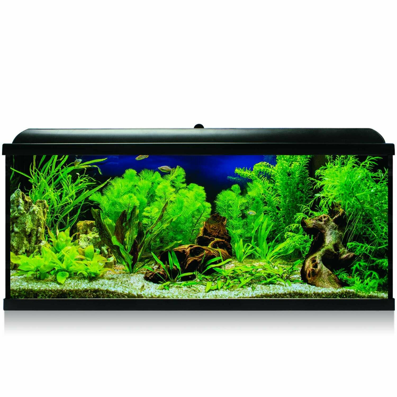 Kit AQUA LED PRO 130 BLACK com filtro interno