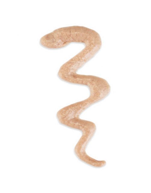 Schesir Baby Trive - Kattenvoer - Kip 160 g
