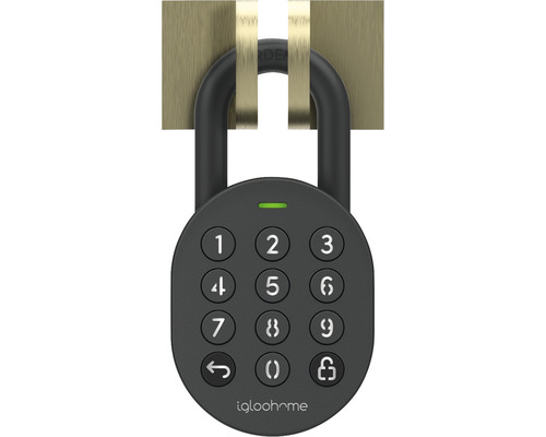 iglohome slim hangslot
