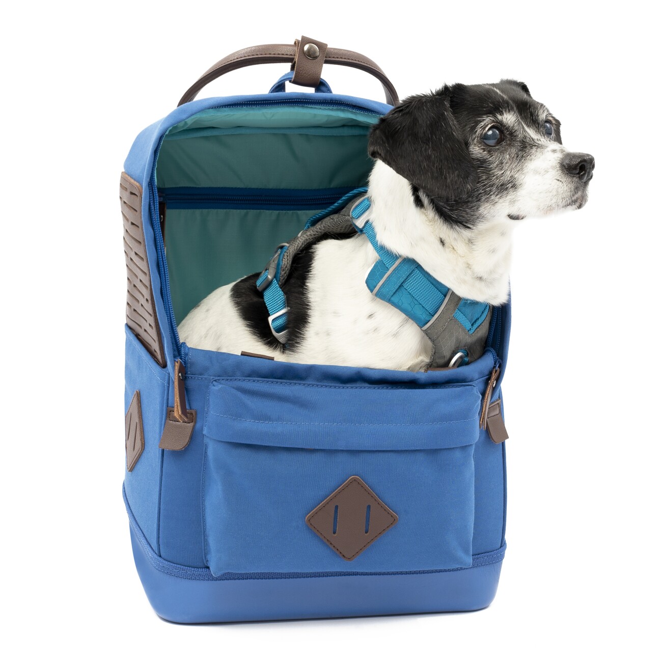 Kurgo Hunderucksack Nomad