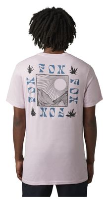 T-Shirt Hinkley Fox Premium Rose