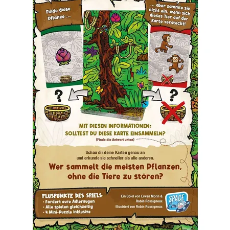 Asmodee Gewimmel im Dschungel
