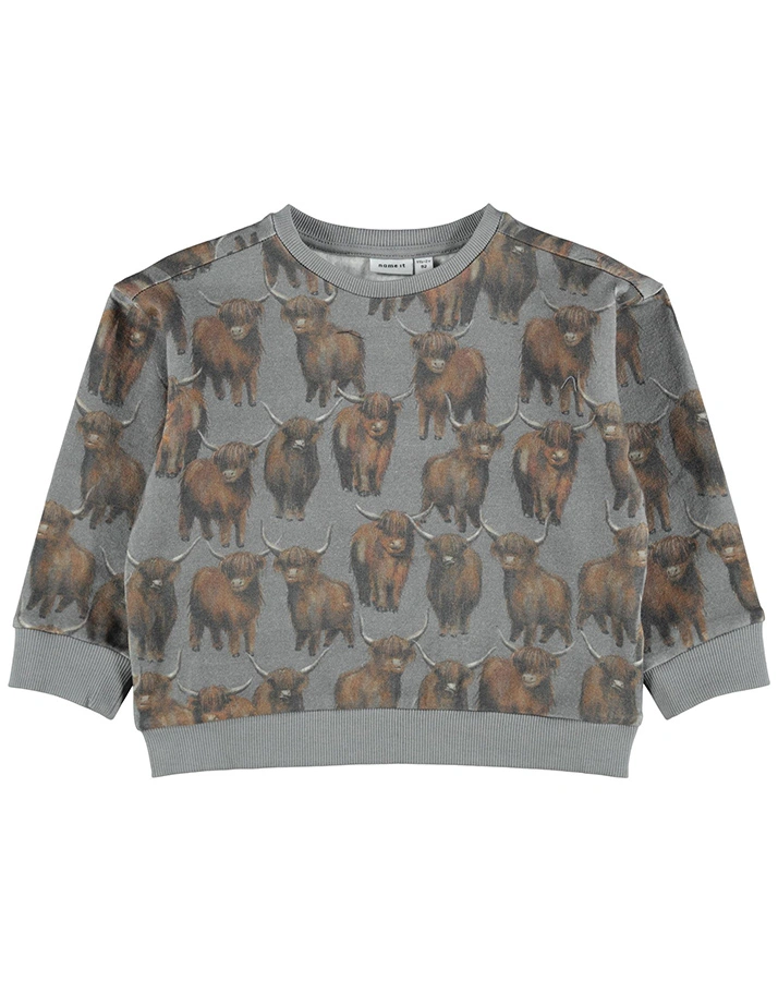Sweatshirt NMMNIBU in monument
