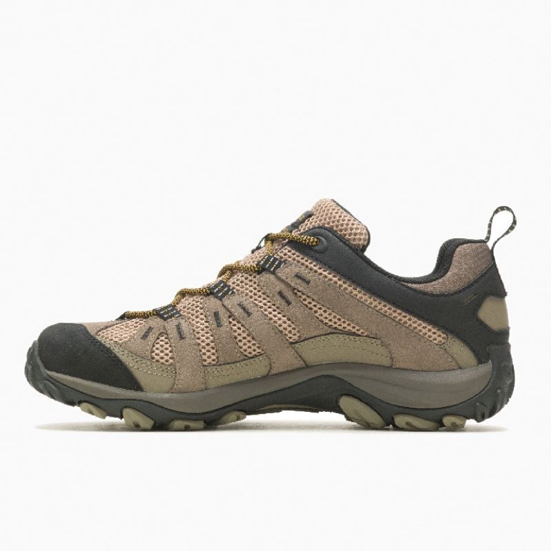 Alverstone 2 GTX - Chaussures randonnée homme