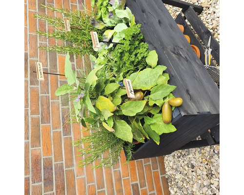 Verhoogd tuinbed op palen promadino incl. folie 100 x 50 x 80 cm antraciet