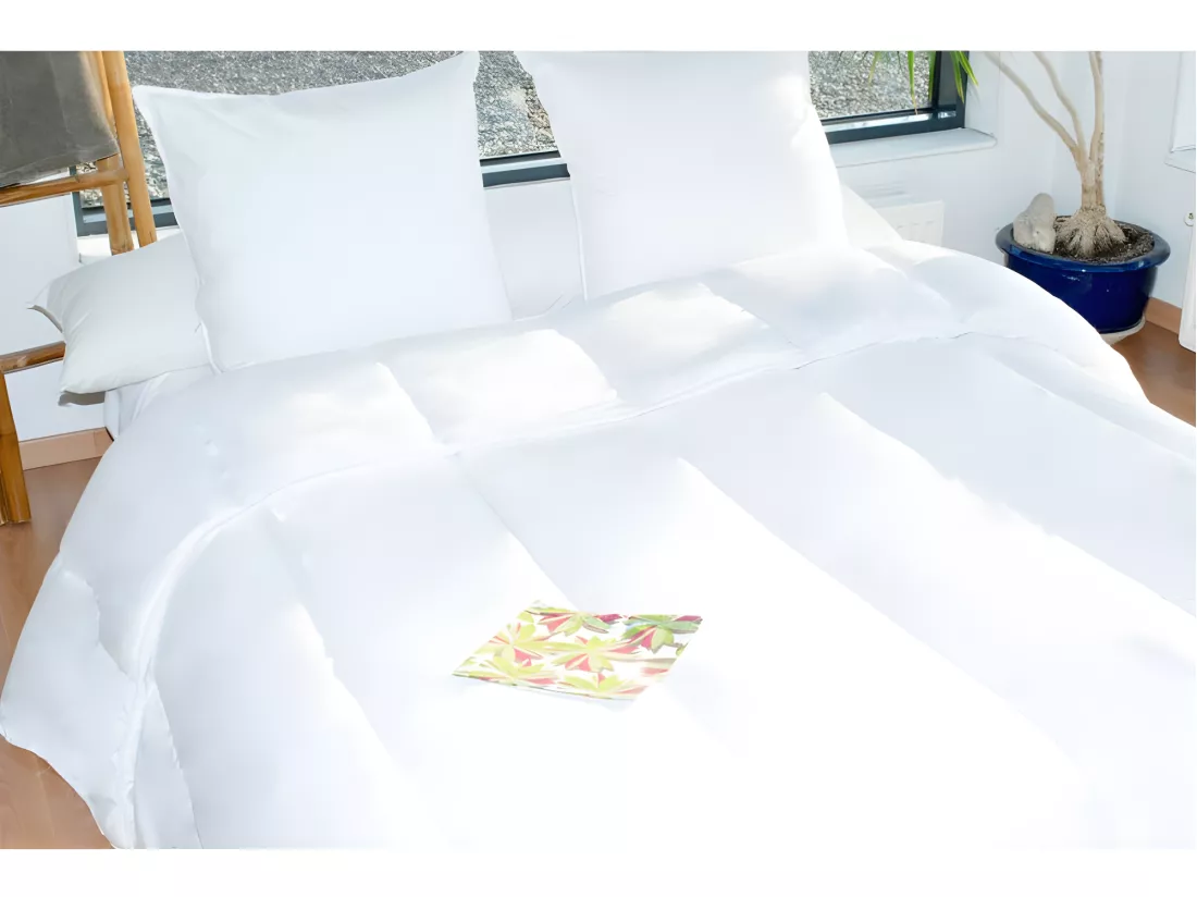 Couette Protection Totale Anti Acariens 400 Gr/m² 240 X 260 Cm Pour Lit 