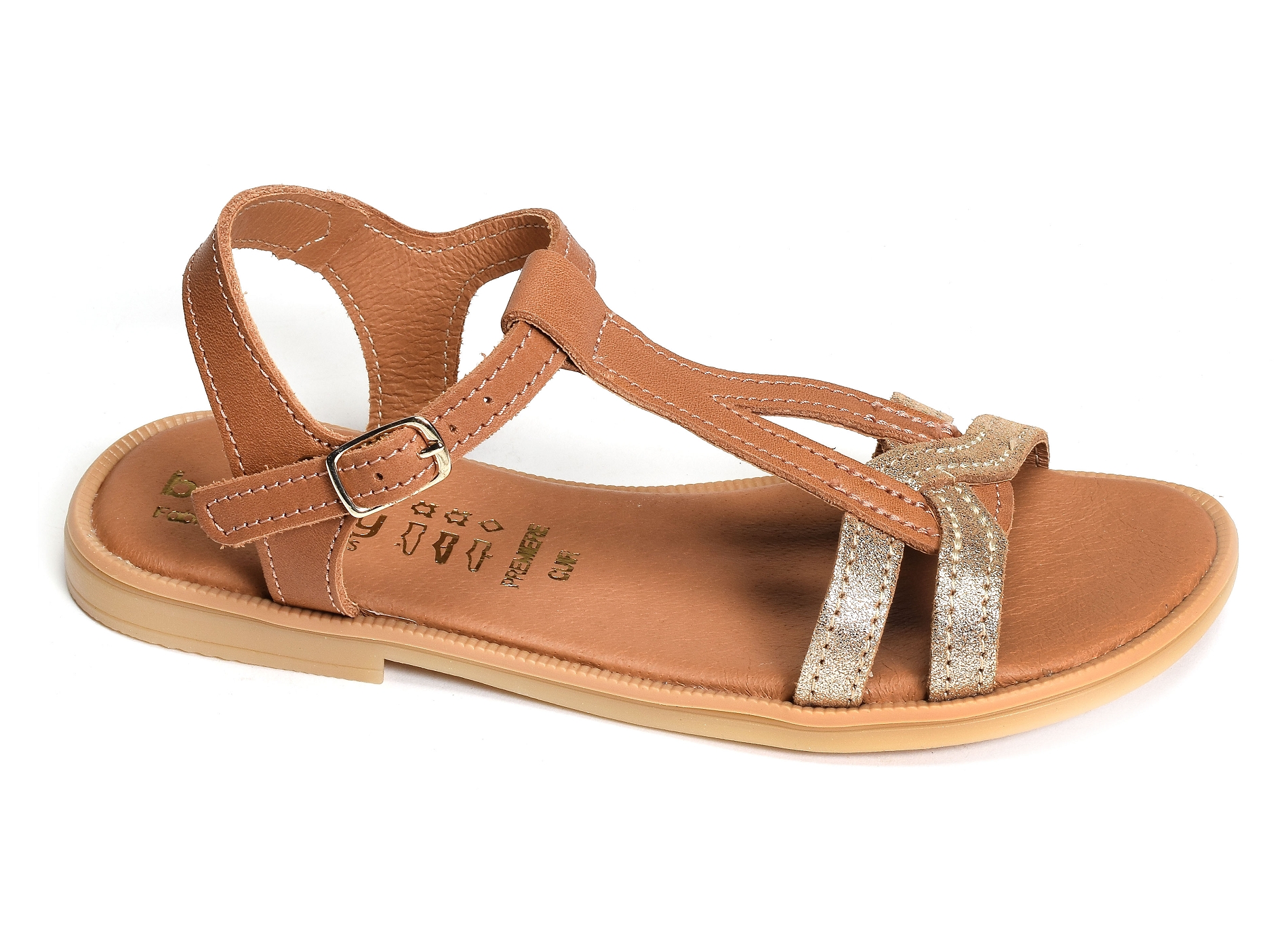 Jilou camel