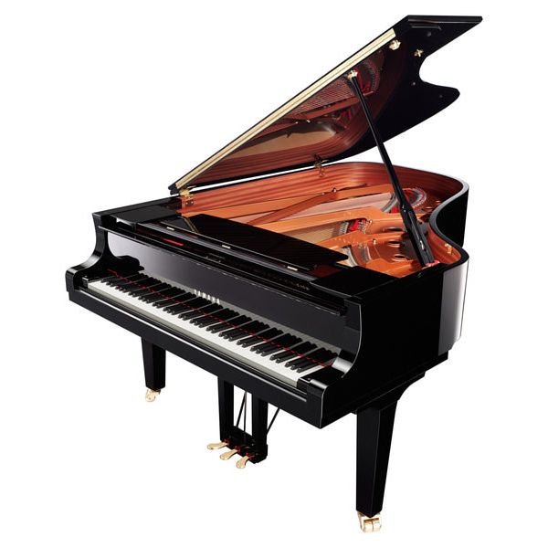 Yamaha C 6 X PE