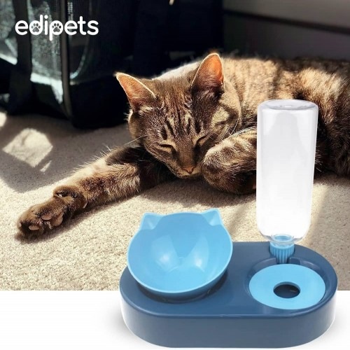 Comedouro e bebedouro inclinado elevado moderno azul claro da Edipets para gatos.