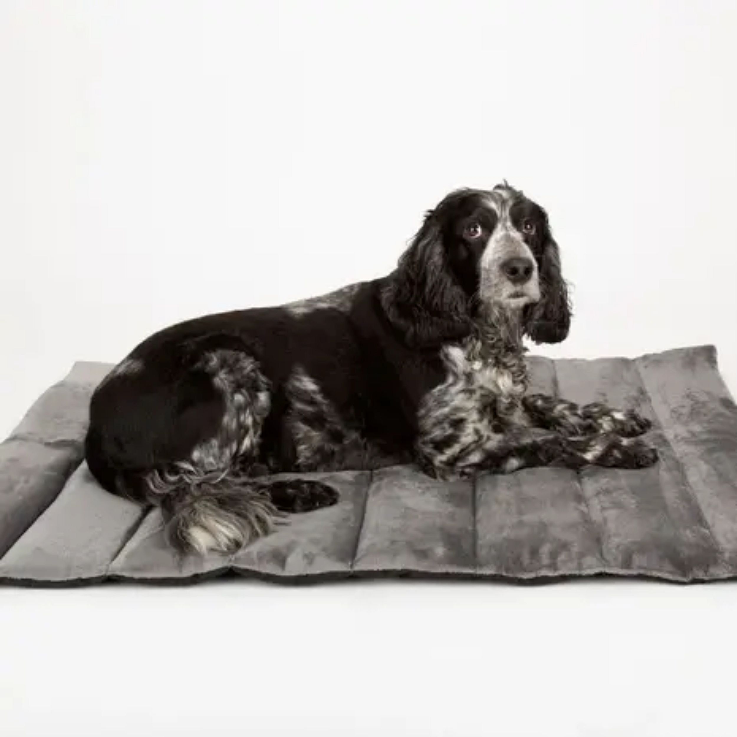 Scruffs Expedition Roll Up Travel Pet Bed | Khaki Green | 20023.2