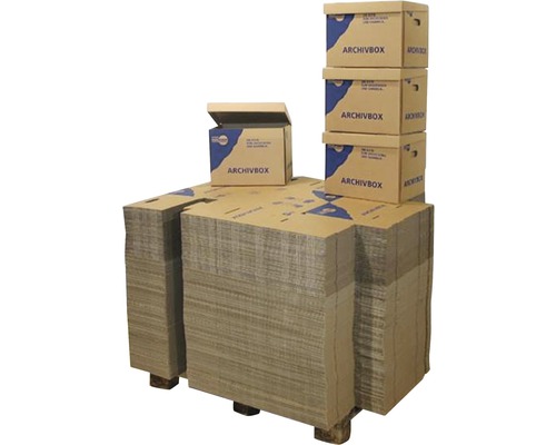 Pallet Cargo Point archiefbox 400 x 320 x 300 mm 38 L, 200 stuks