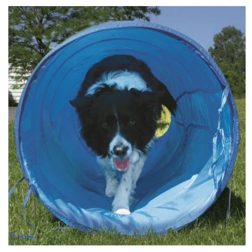 Túnel flexível Ribecan Agility para cães