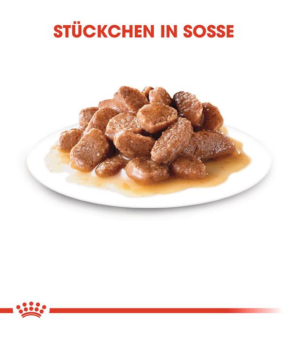 ROYAL CANIN® Nassfutter für Katzen
