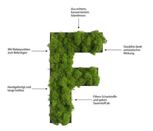 styleGREEN Buchstaben aus Islandmoos, ca. H25