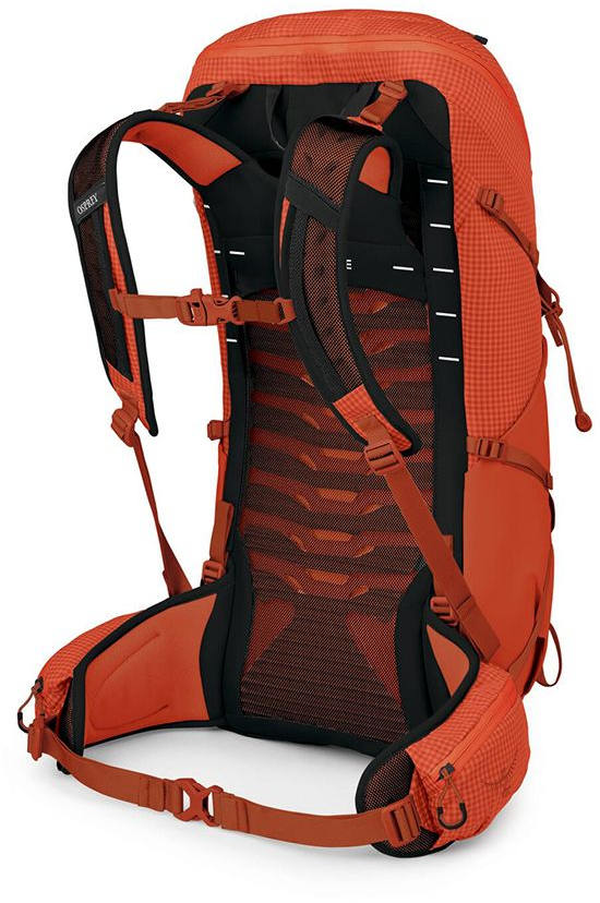 Osprey Talon Pro 30