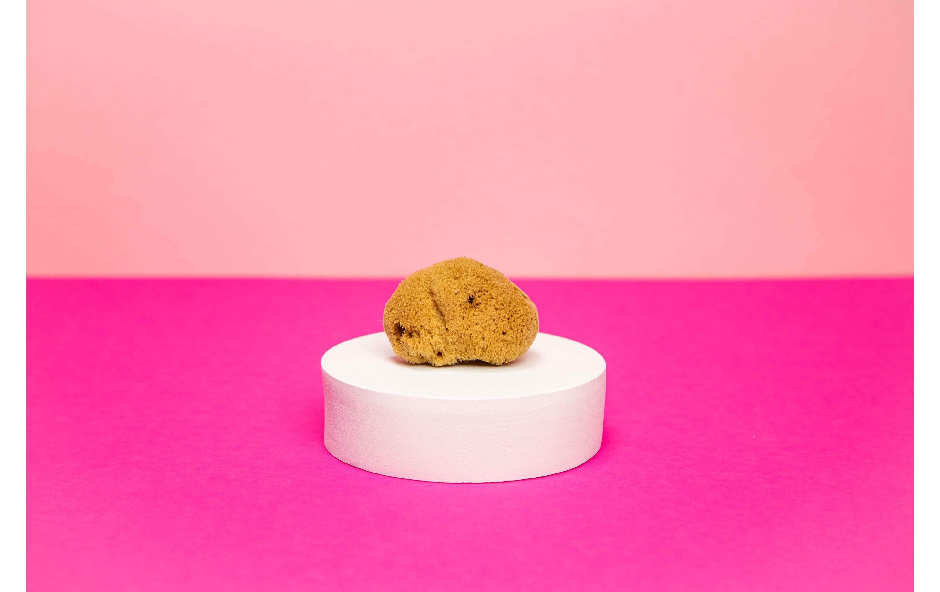 Menstruationsschwamm Grösse M 3 StückZero Waste Naturschwamm für die Periode im 3er Set aus «Die Höhle der Löwen»