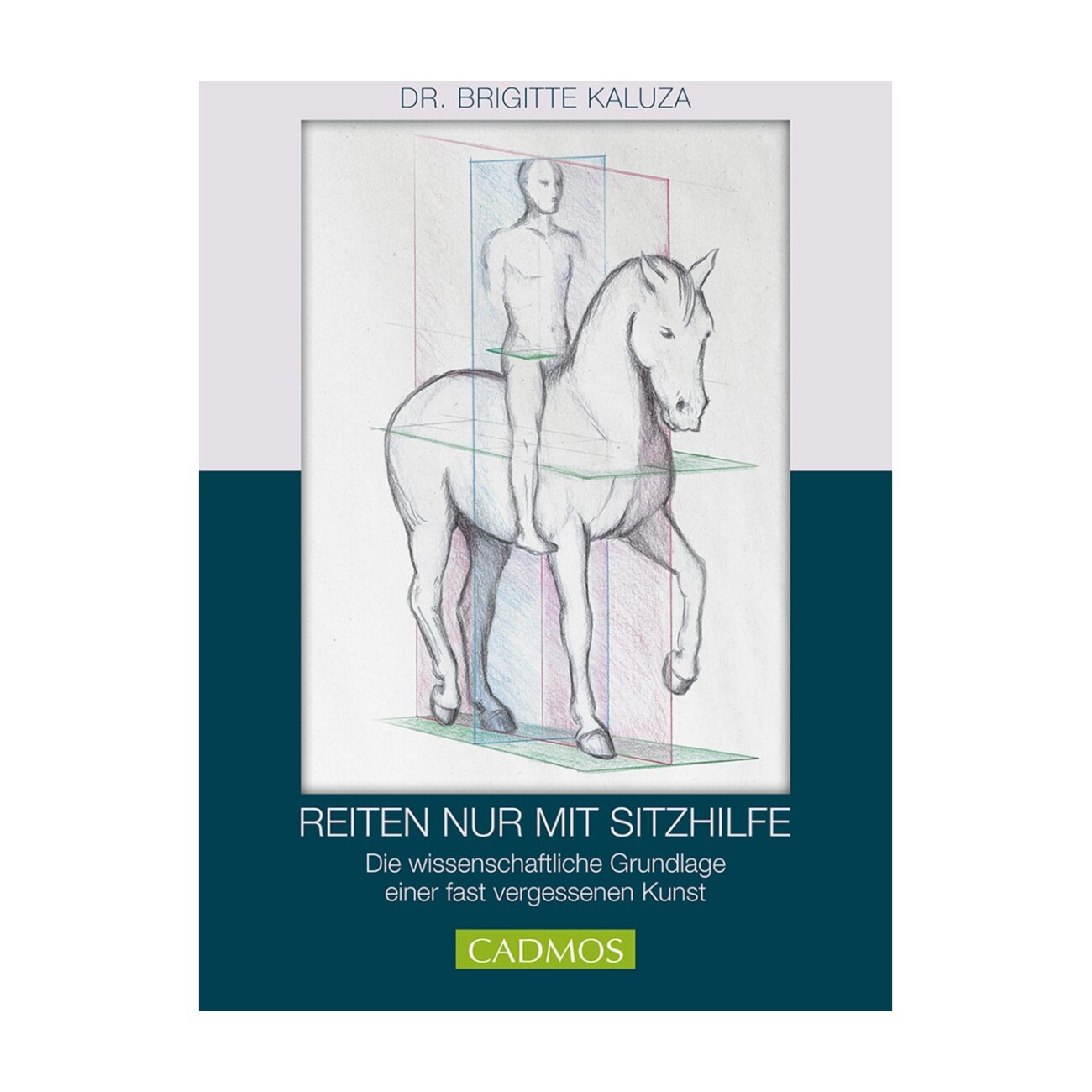 Cadmos Reiten nur mit Sitzhilfe