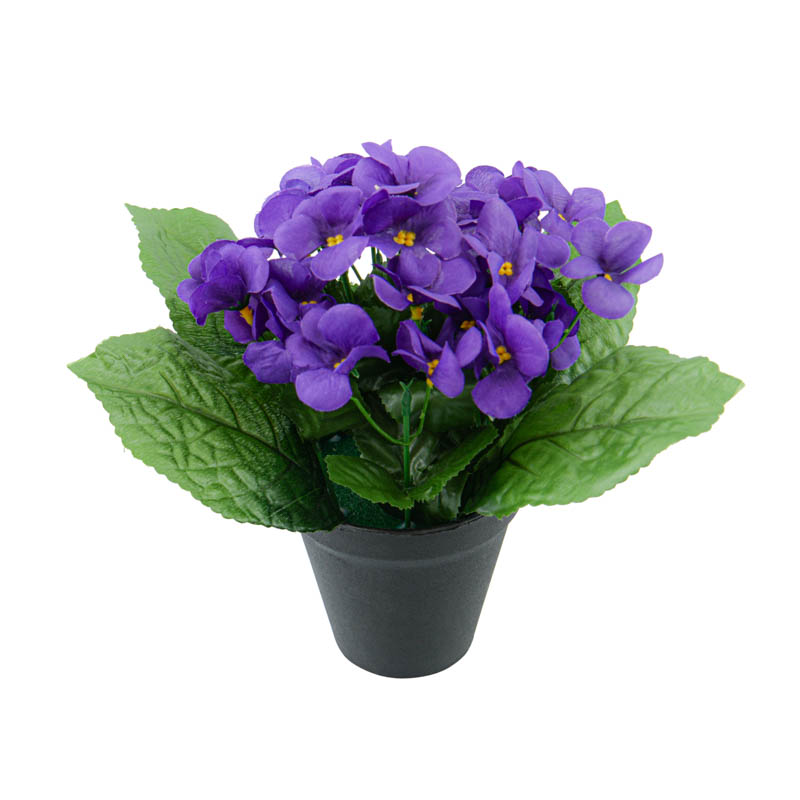 Pot de violettes