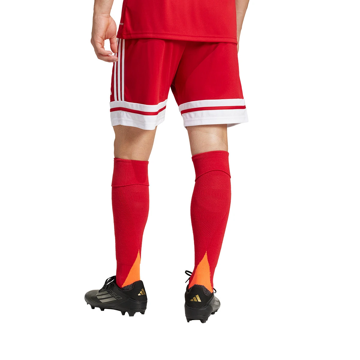 Calções adidas Squadra 25 II