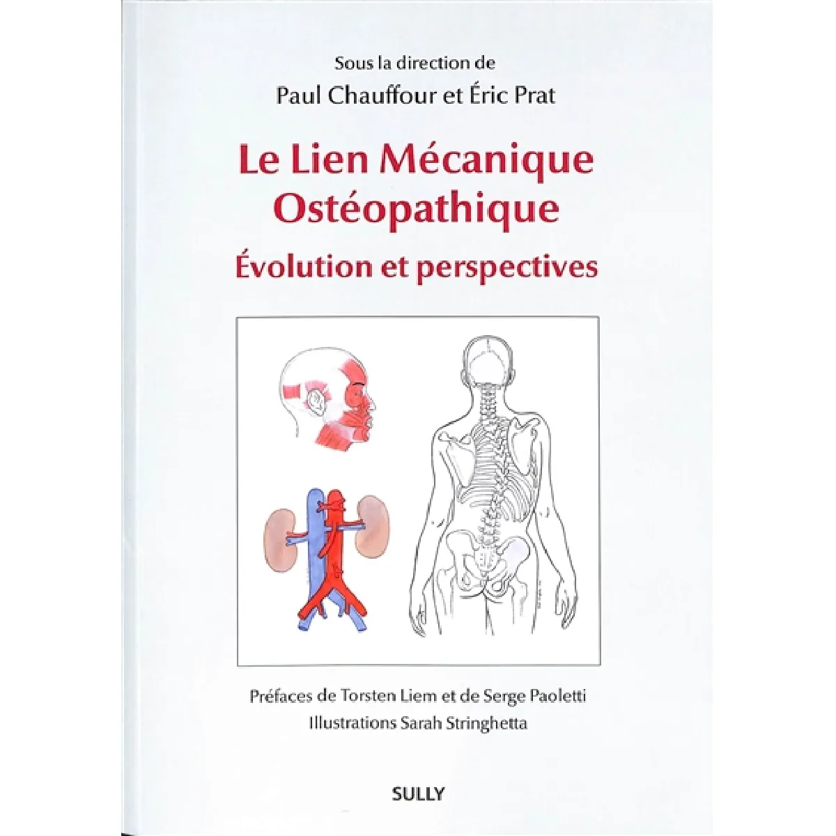Le lien mécanique ostéopathique : évolution et perspectives