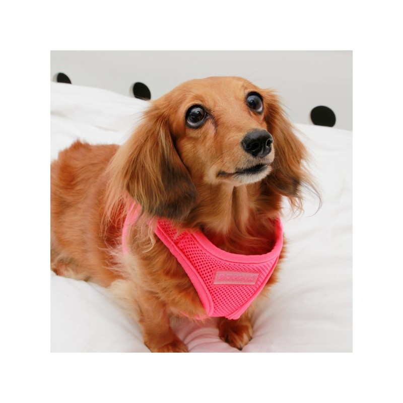 Colete peitoral neon para cães, rosa