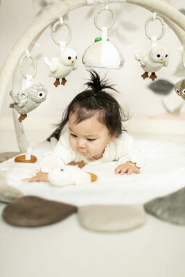 Rätt Start Baby Owls Babygym