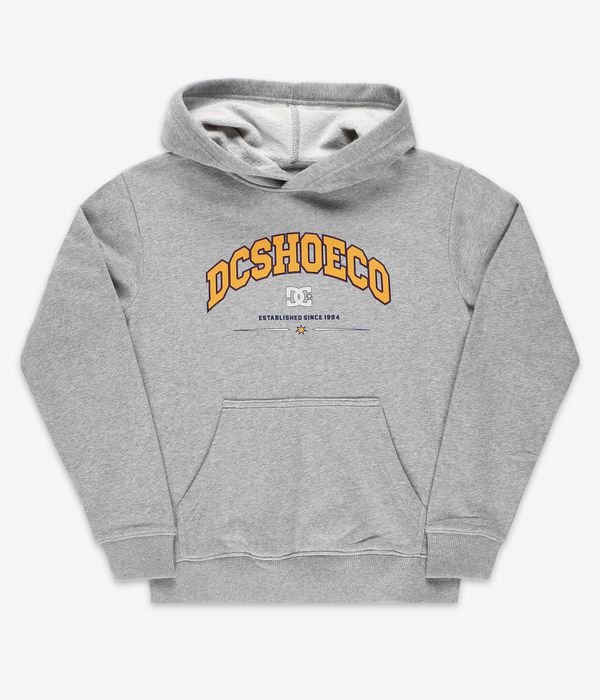 DC Orientation Hoodie kids (heather grey)