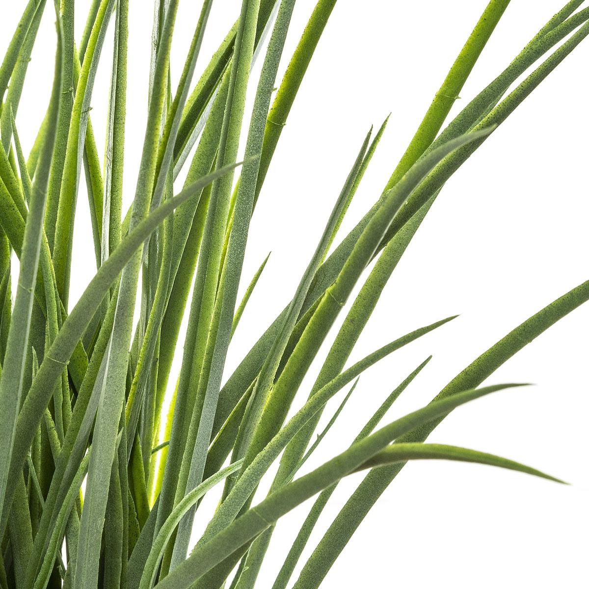 PLANTE HERBE POT NATUREL MODA H.46CM