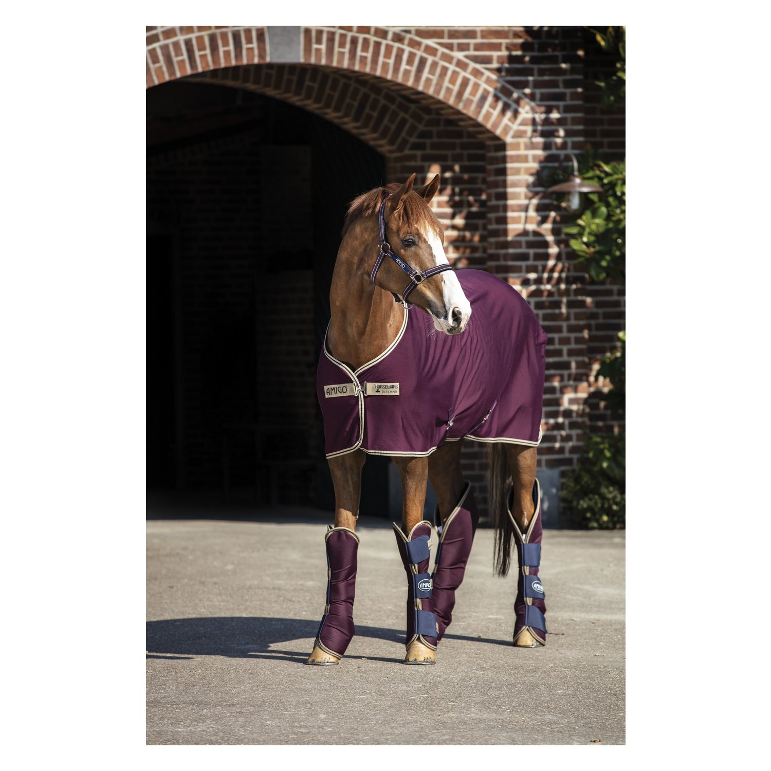 HORSEWARE Abschwitzdecke AMIGO Jersey Cooler  - feige/navy