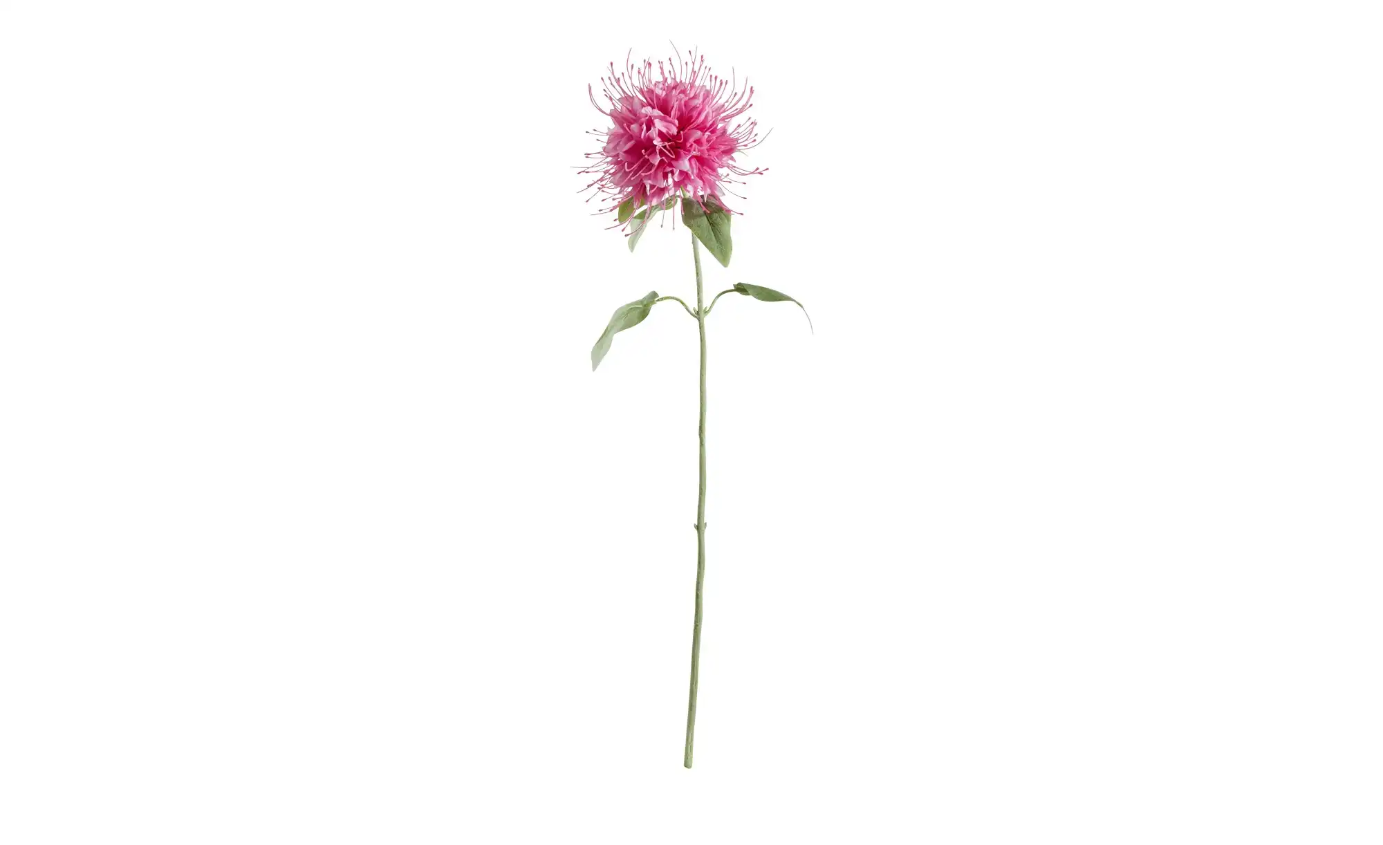 HOME STORY Kunstblume Monarda