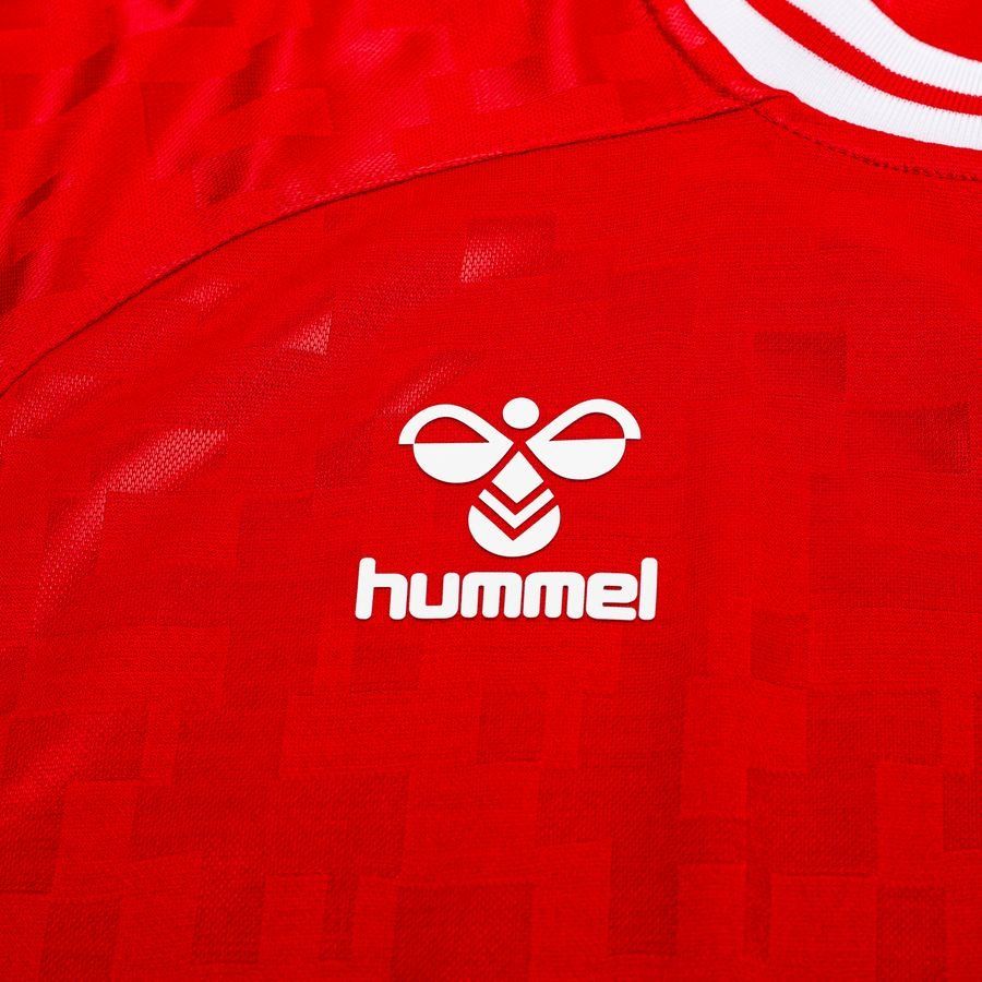 Danemark Maillot Domicile 2024/25