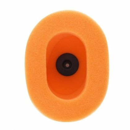 Filtre à air Twin air 151602