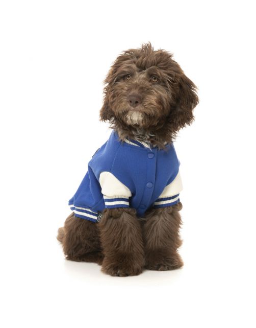 Fuzzyard The Letterman Jacket Blauw - Hondenkleding