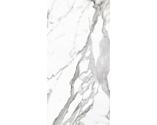 Porseleinen wand- en vloertegel Calacatta 119,7 x 59,7 x 0,8 cm wit gepolijst gerectificeerd