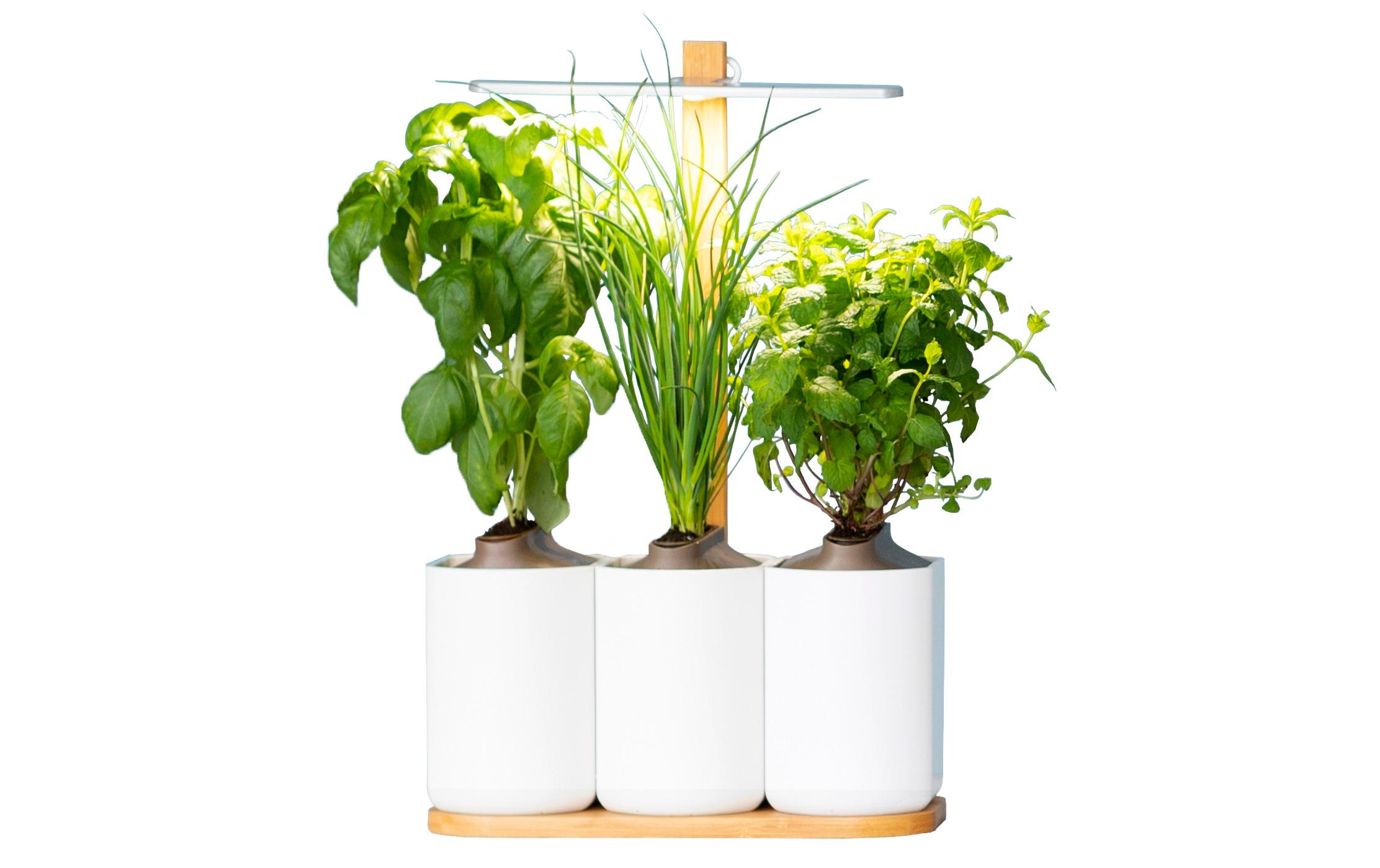 Kräutertopf Indoor Lilo Connect WeissDer smarte, kompakte und intuitive Indoor-Garten