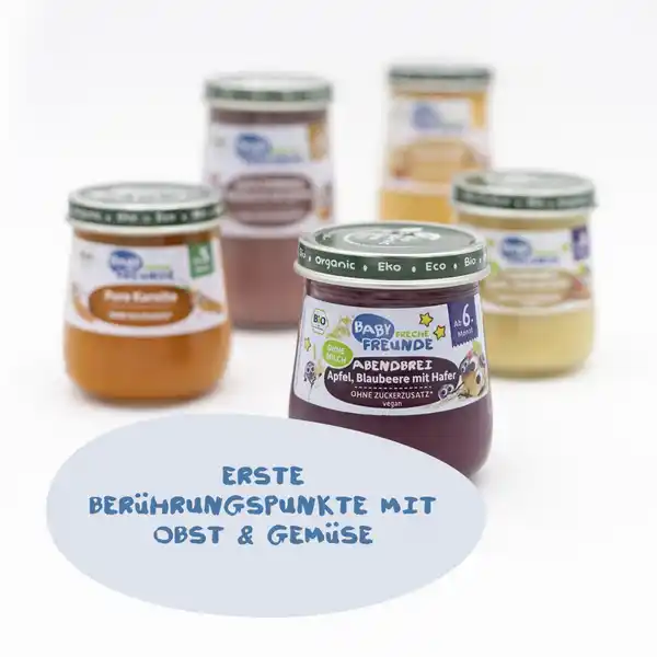 Bio Baby Abendbrei Apfel, Blaubeere mit Hafer