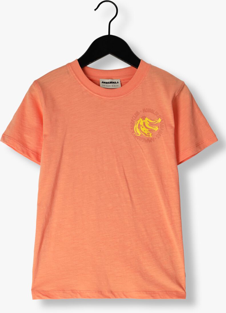 AMMEHOELA koraal ammehoela t-shirt am.zoe.67
