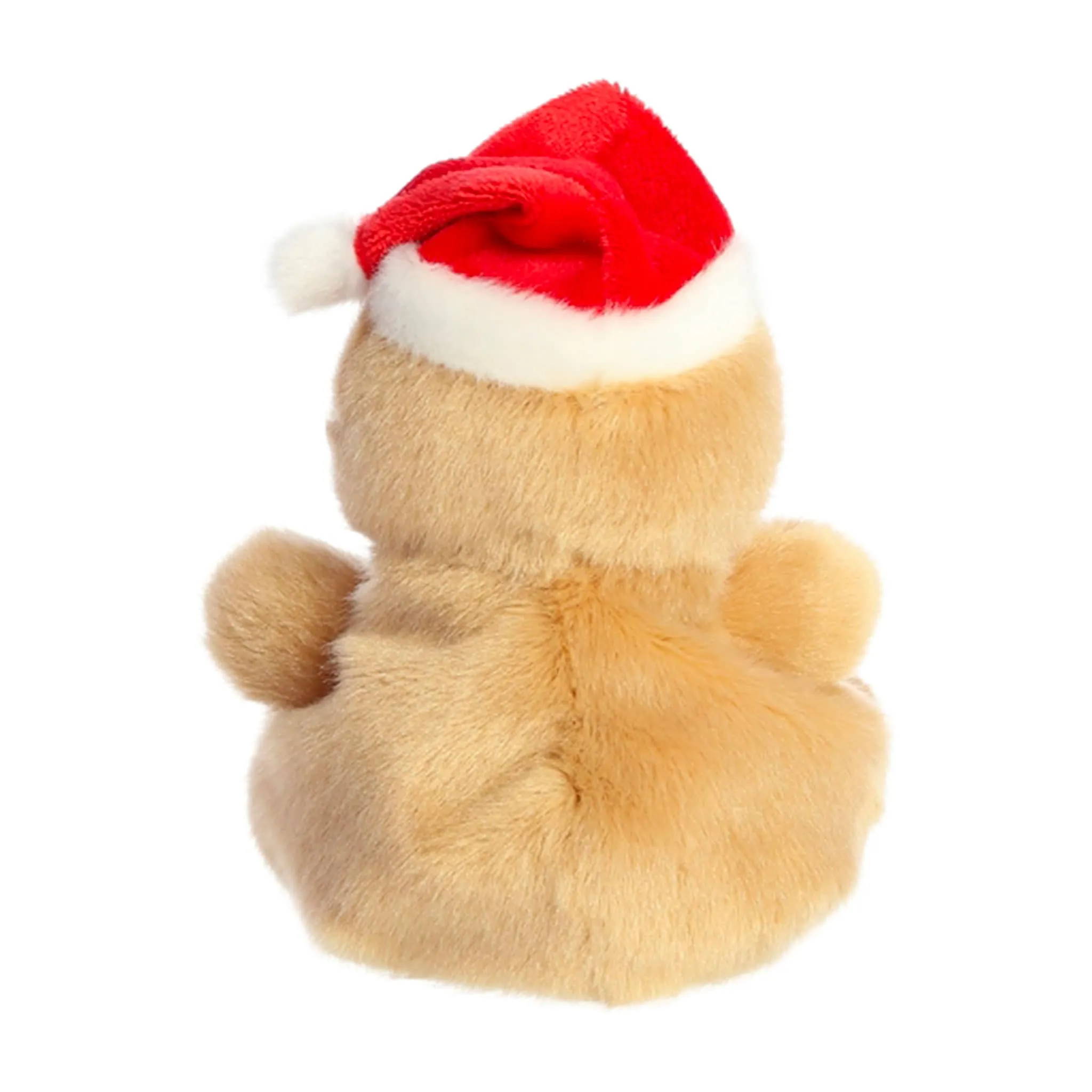 Aurora Gingy Le Pain d'Épice 5