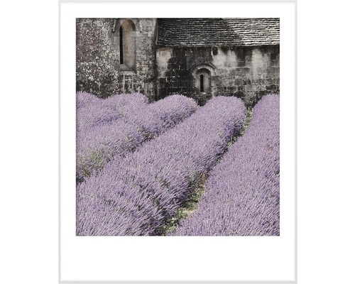 Premium muurverf Stijl Kleur SELECTIE 17 conserveermiddelvrij Blossom of Provence 2,5 L