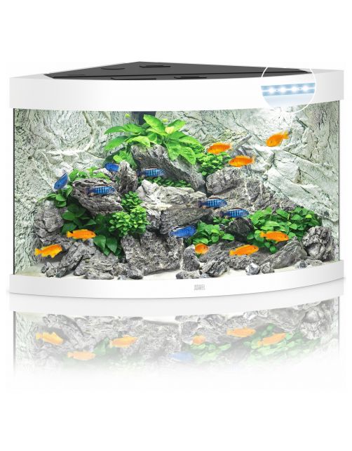 Juwel Aquarium Trigon 190 Led 70x70x60 cm - Aquaria