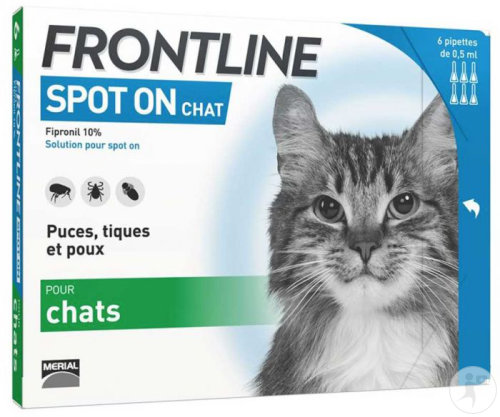 Frontline Spot-On Chat Solution Contre Puces/Tiques/Poux Pipettes 6x0,5ml